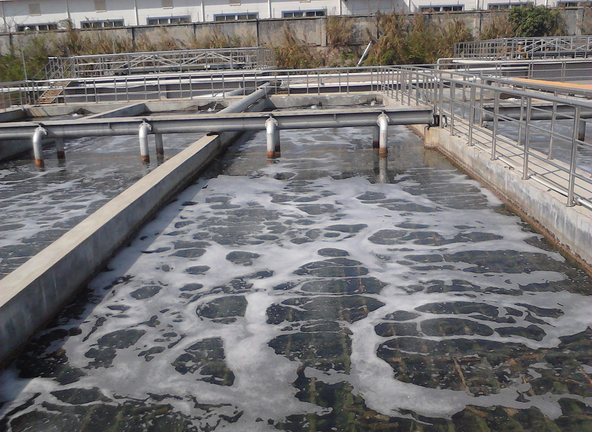 ��ˮ̎���̲��ݾ���������h(yu��n)չ�F(xi��n)��(y��u)�|(zh��)����(w��)