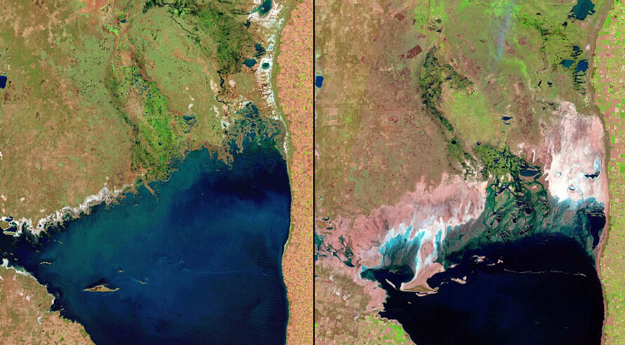 阿根廷的馬其魁它